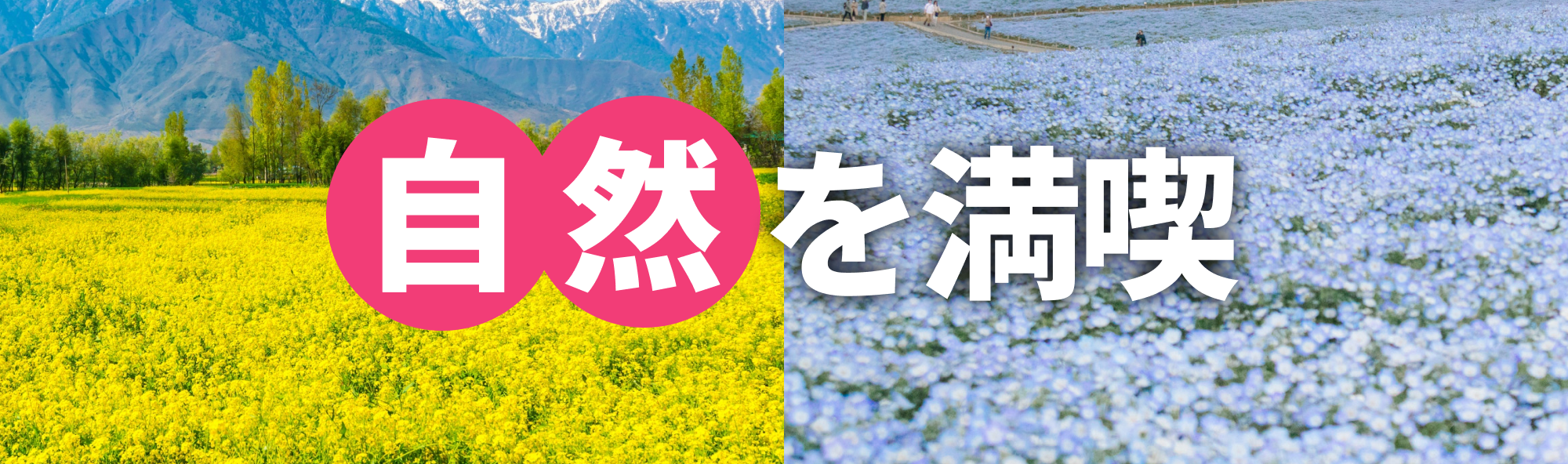 自然を満喫ツアー